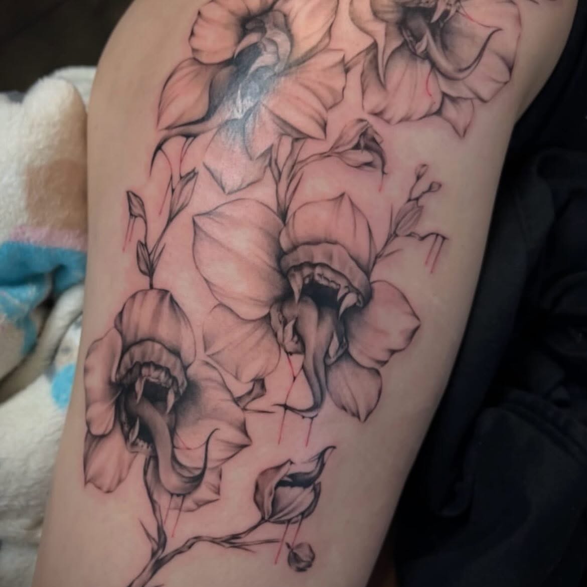 Köttätande skräckblommor i graywash tatueringstil, av tatuerare Leslie
