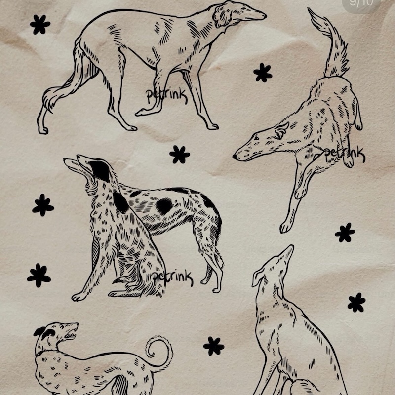 Illustration by guest tattooer petrix of hound dogs in fine line style.